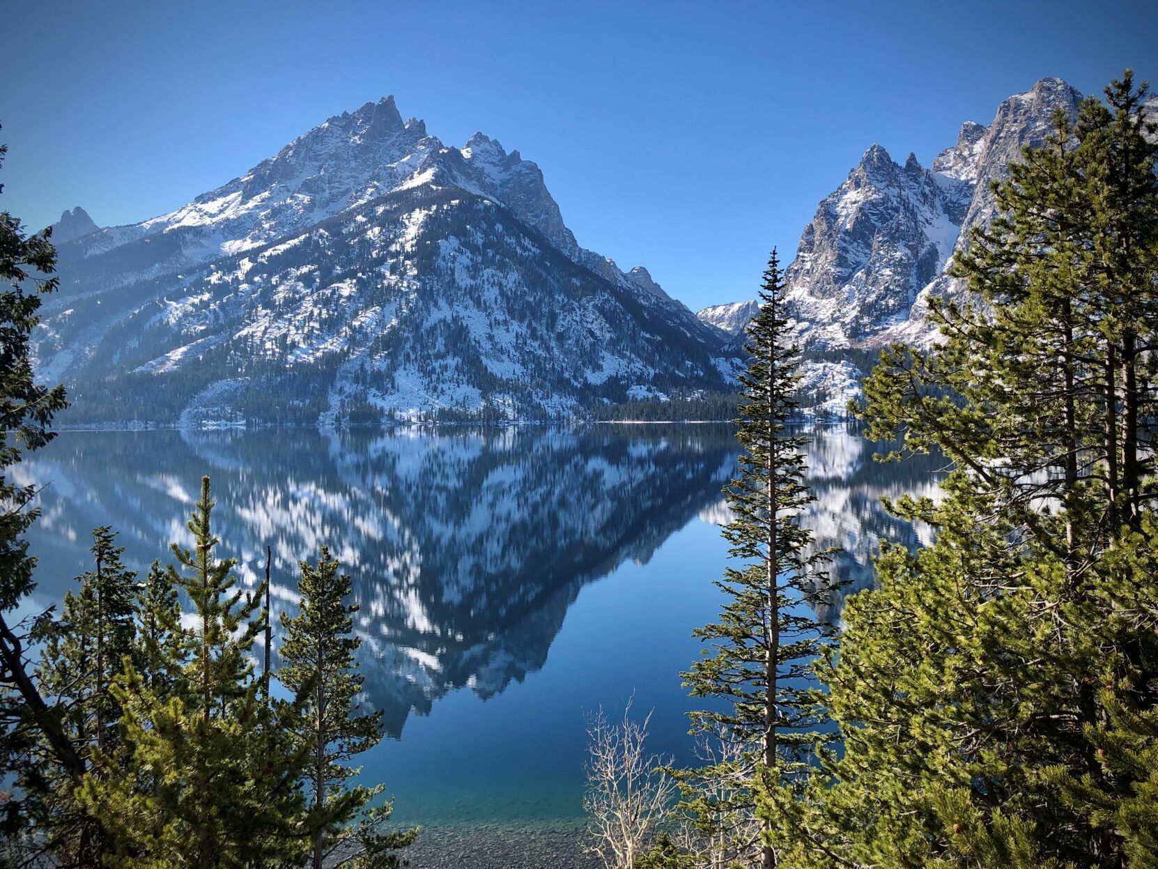 Jenny Lake